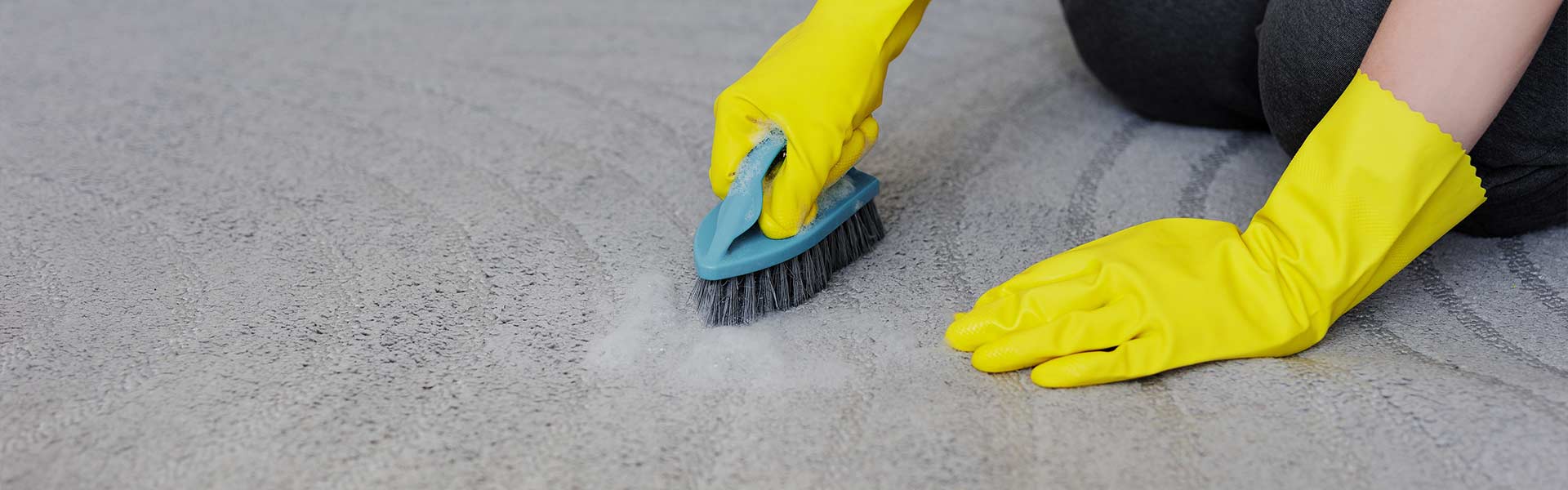 best carpet cleaning services in toronto